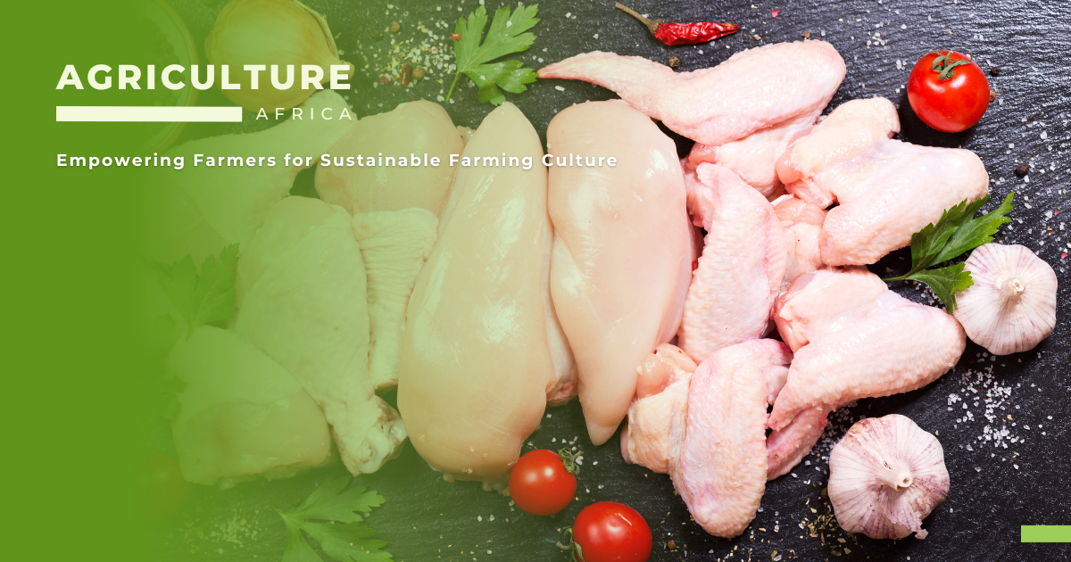 Boosting African Poultry Processing and Product Development