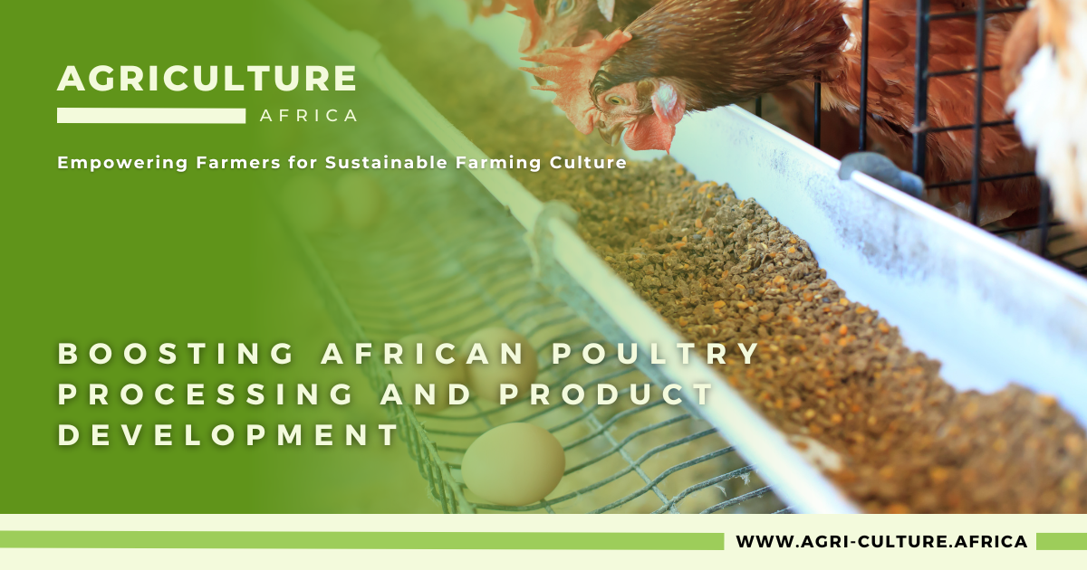 Boosting African Poultry Processing and Product Development