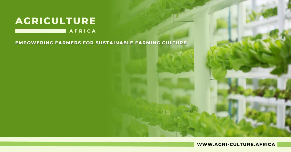 The Economics of Hydroponic Farming in Africa