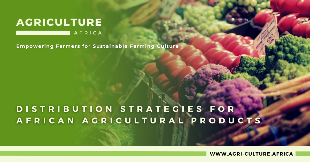 Distribution Strategies for African Agricultural Products