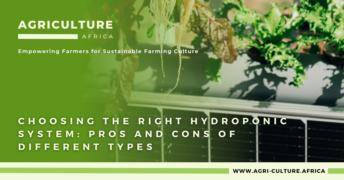 Choosing the Right Hydroponic System: Pros and Cons of Different Types