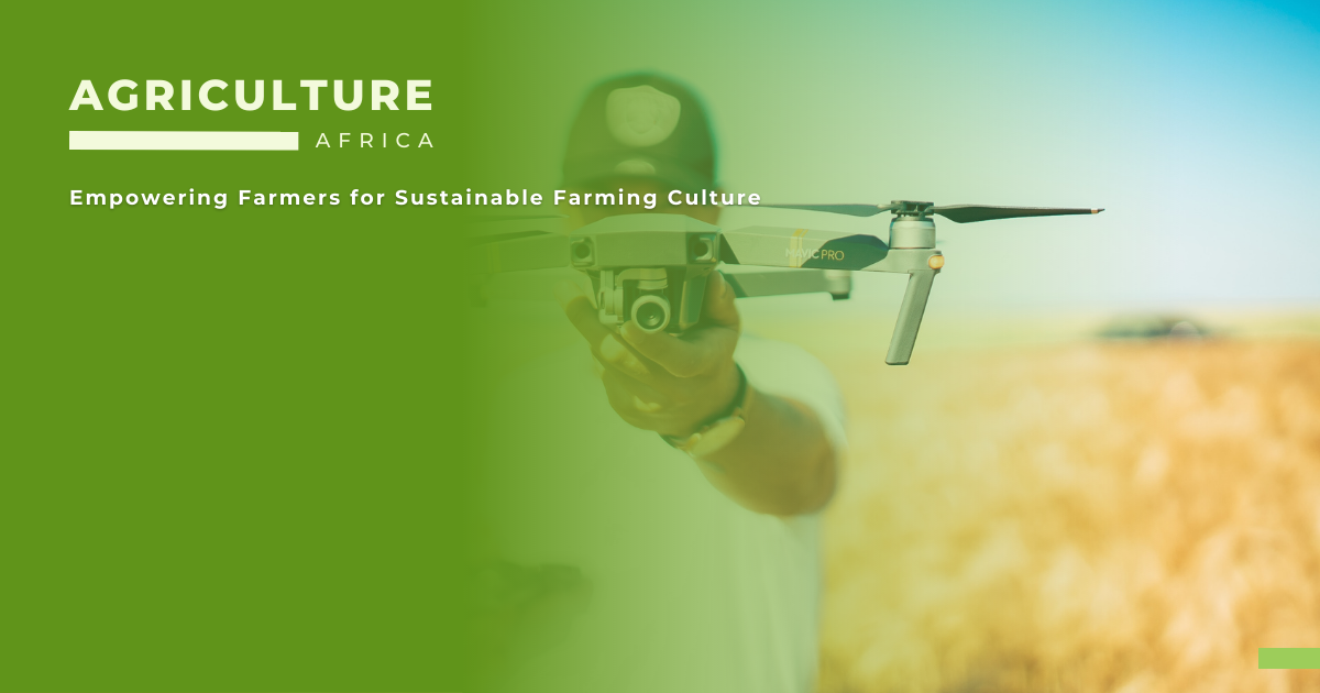 Drones in Agriculture 3 Innovative Tools for African Farmers (1)