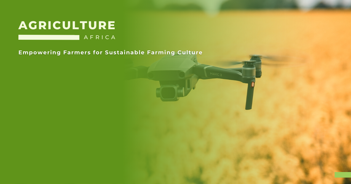 Drones in Agriculture 3 Innovative Tools for African Farmers (2)