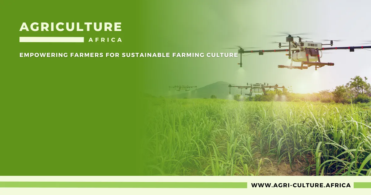 How Drones in Agriculture are Revolutionizing Africa