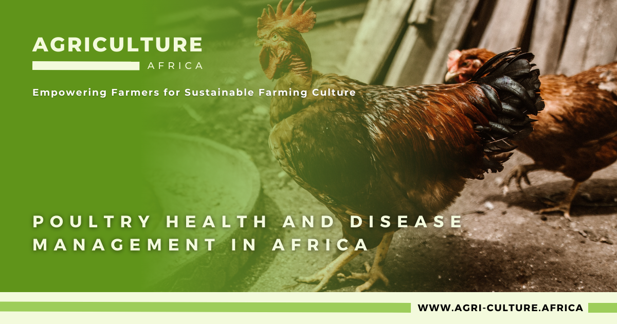 Poultry Health and Disease Management in Africa