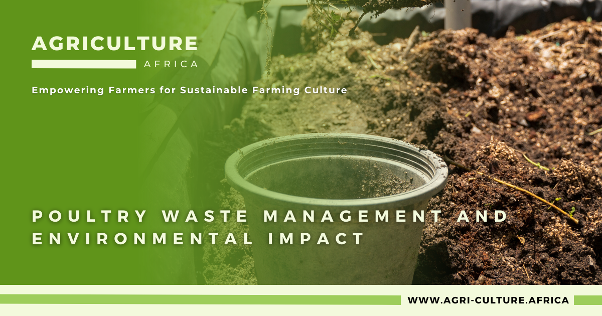 Poultry waste management and environmental impact