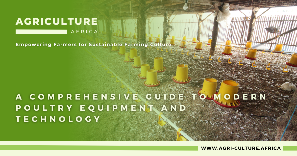A Comprehensive Guide to Modern Poultry Equipment and Technology