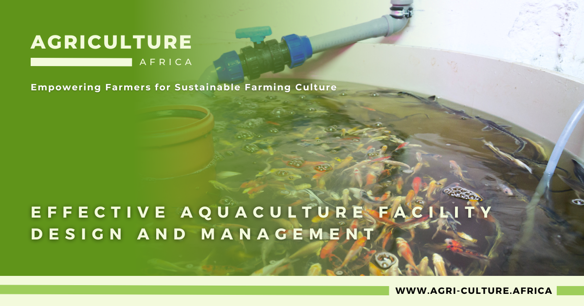 Effective Aquaculture Facility Design and Management