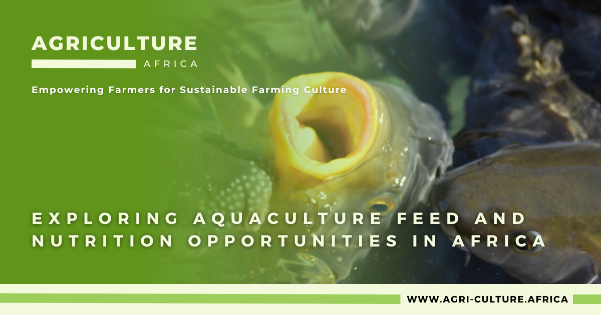 Exploring Aquaculture Feed and Nutrition Opportunities in Africa