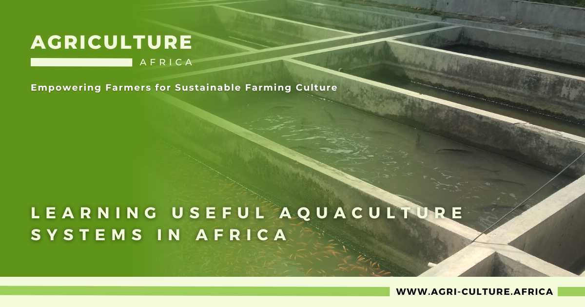 Learning Useful Aquaculture Systems in Africa