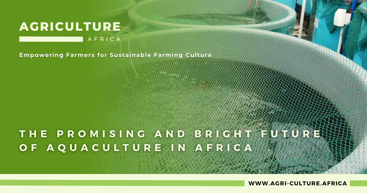 The Promising and Bright Future of Aquaculture in Africa