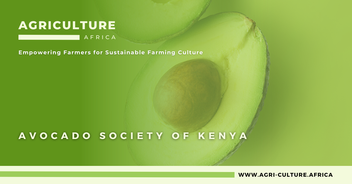 Avocado Society of Kenya (1)