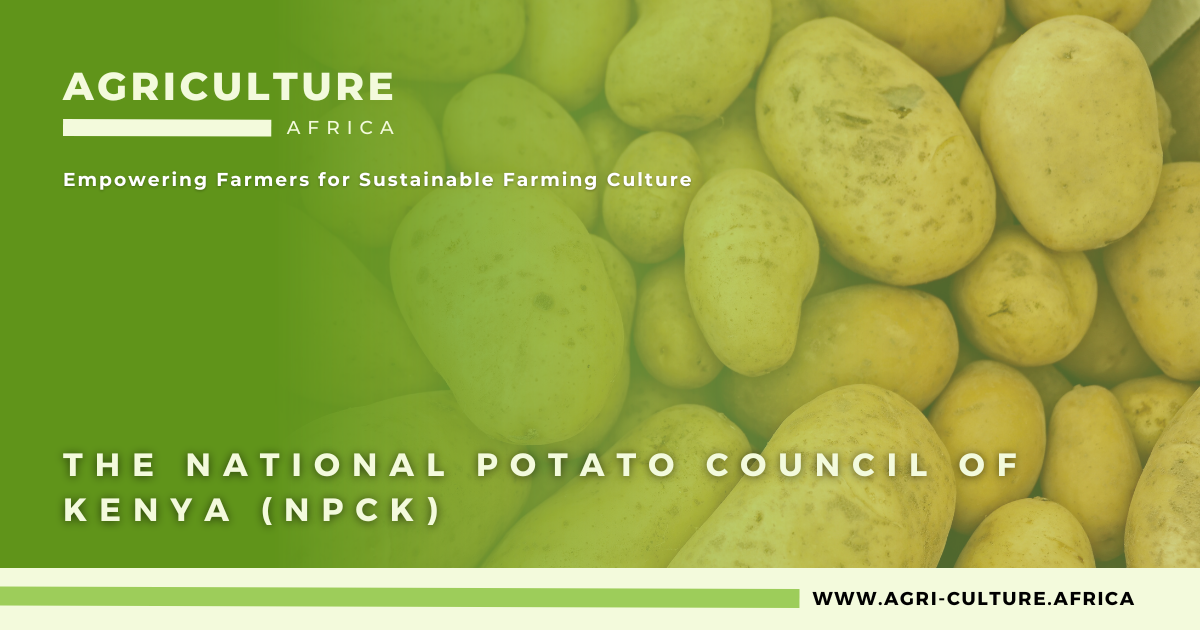 The National Potato Council of Kenya (NPCK)