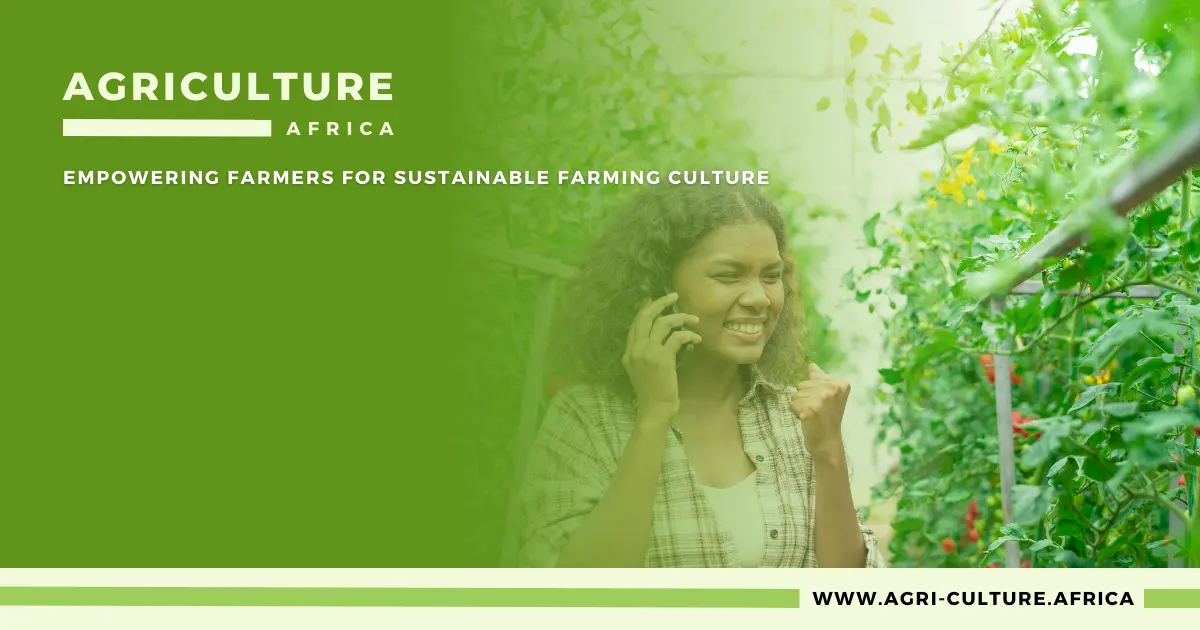 Shop At Agriculture Culture In Africa, Best Farming Products