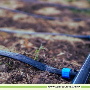 Drip Irrigation Kits