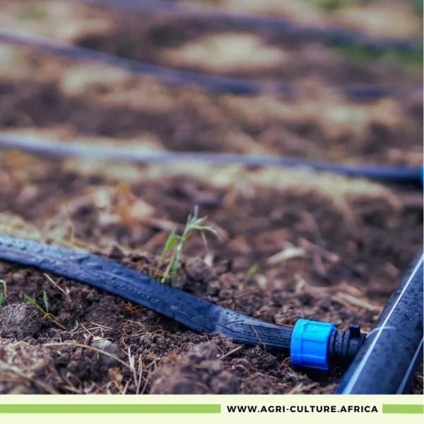 Drip Irrigation Kits